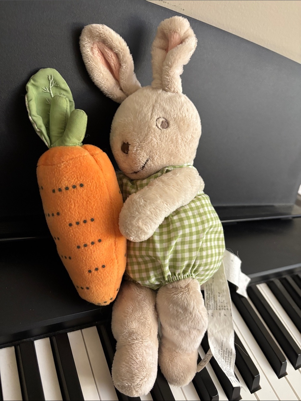Vintage ikea plush Bunny with rattle Carrot Toy
